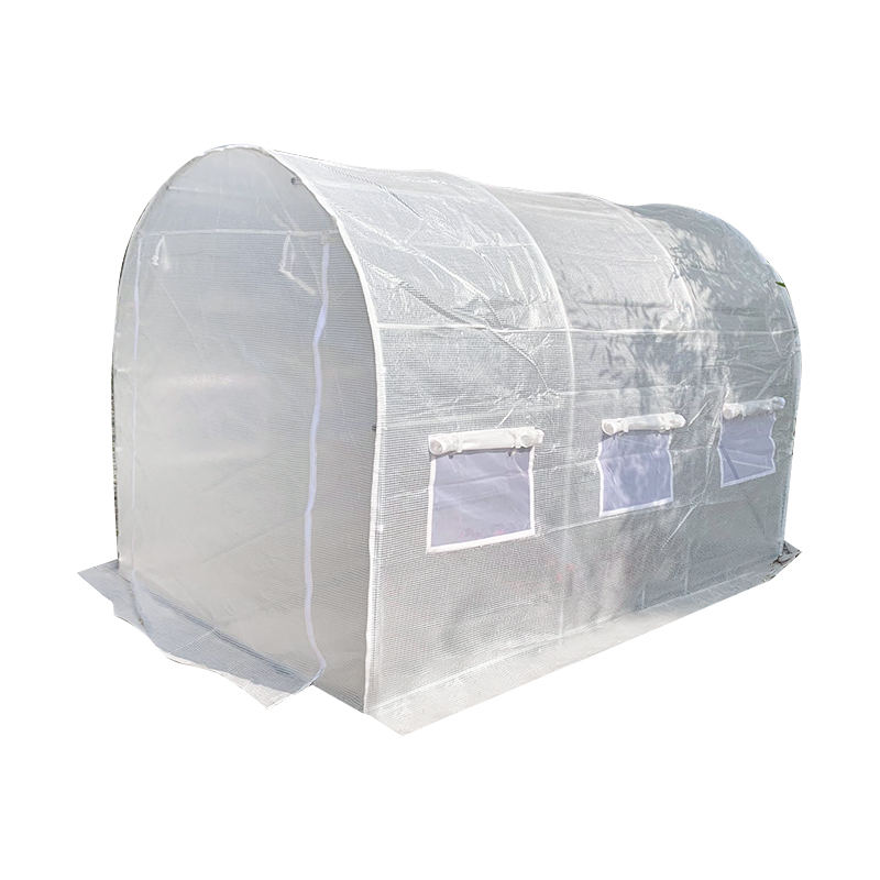 온실 대 폴리터널: 연중 수확량에 가장 적합한 성장 구조는 무엇입니까?