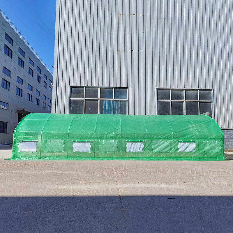 4x8x2m 포일 터널 Roundtop 높은 터널 온실