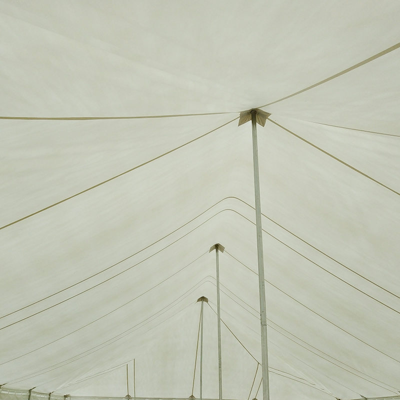 Windows가 있는 7X12m 전통적인 PVC 이벤트 폴 텐트